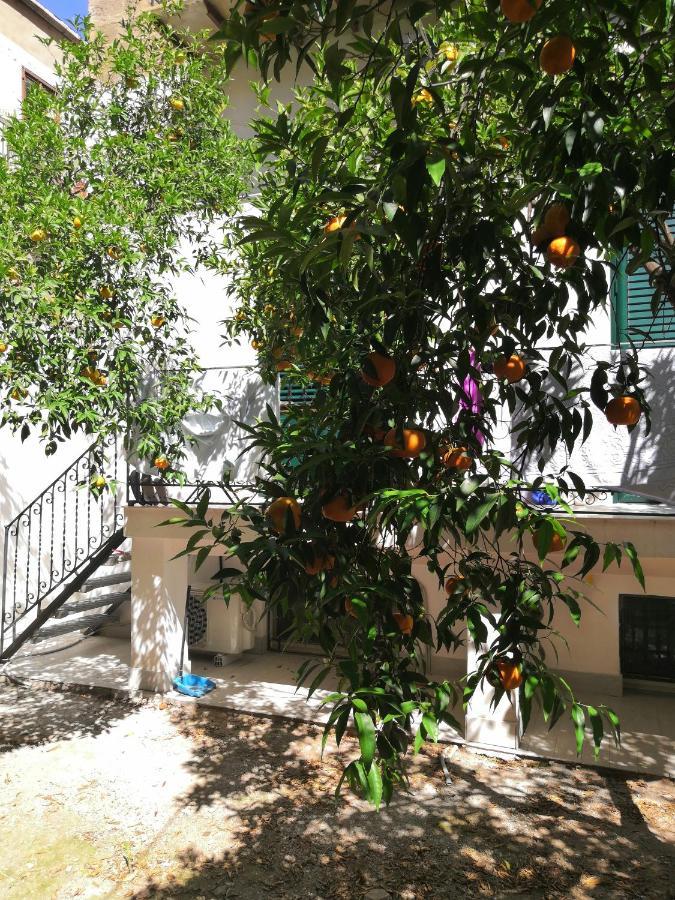 Garden House: Apartments And Rooms For Holidays Palermo Exterior foto